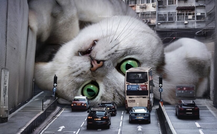 Активістам не подобається план реконструкції Глибочицької: що пропонують покращити - фото