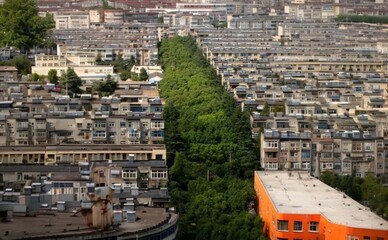 У Києві за вихідні з'явилося майже 200 нових дерев та більше пів тисячі кущів