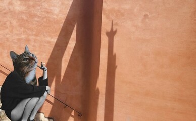 Школярі можуть безкоштовно підготуватися до НМТ з історії