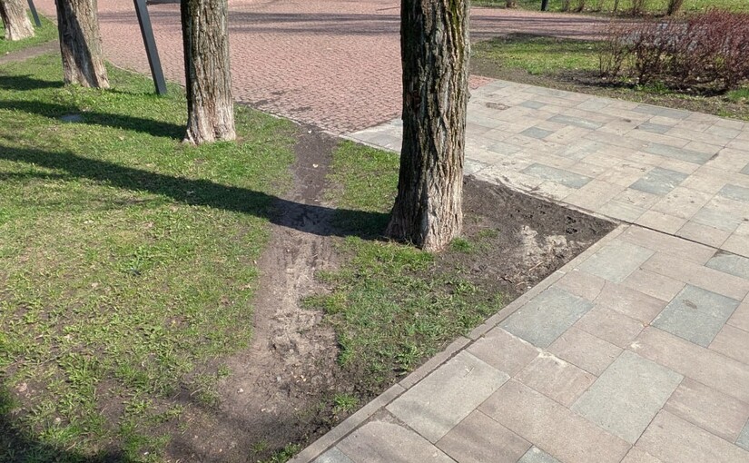 Киевзеленстрой засадил травой протоптанную от метро тропинку - фото