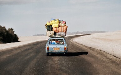 Украинских водителей переводят на биоэтанольный бензин - что изменится в работе ваших авто