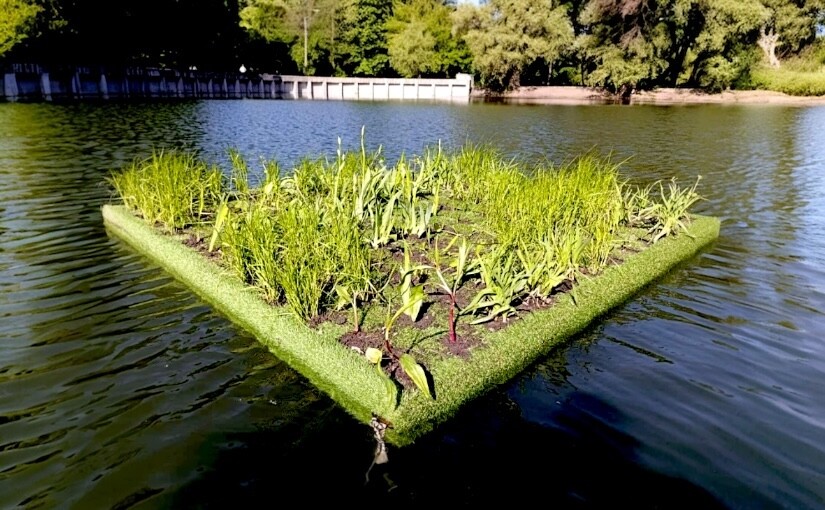 У Києві з'явилися плавучі острови з рослинами у восьми парках столиці - фото