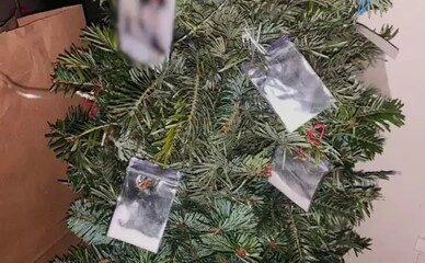 У Києві накроділок прикрасив новорічну ялинку пакетиками з наркотиками