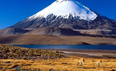 Полтавка піднялася на найвищий вулкан світу