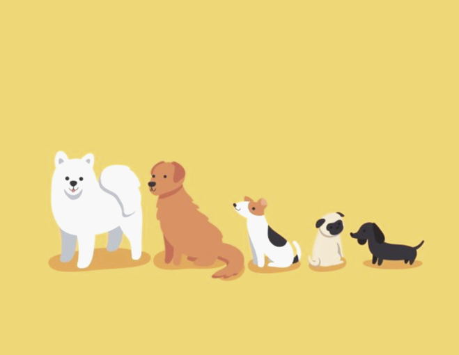 Укрпошта запроваджує оплату карткою та онлайн‑управління посилками