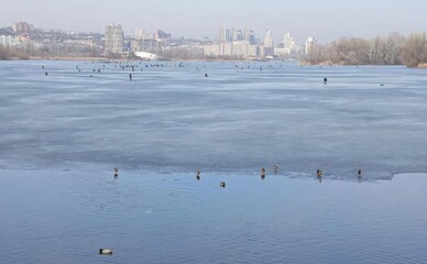 У Дніпрі десятки людей вийшли на кригу під час відлиги і ризикували життям