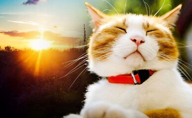 В Україну прийде різке весняне потепління до +17 уже 9–10 березня