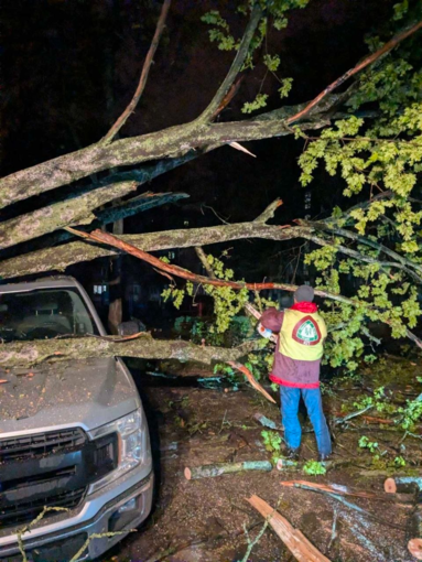 У Харкові сильний вітер повалив понад 80 дерев