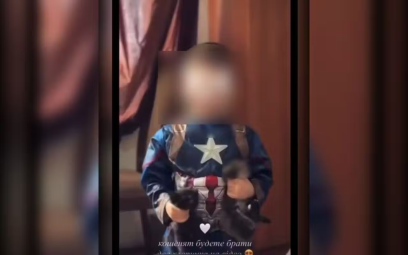 На Дніпропетровщині син блогерки знущався над кошенятами