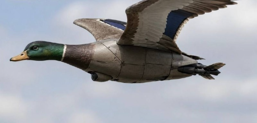 В Україні показали Peace Duck та міні-ППО проти FPV і «Орланів»