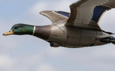 В Україні показали Peace Duck та міні-ППО проти FPV і «Орланів»