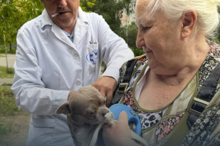 У Полтаві безкоштовно вакцинуватимуть котів і собак від сказу