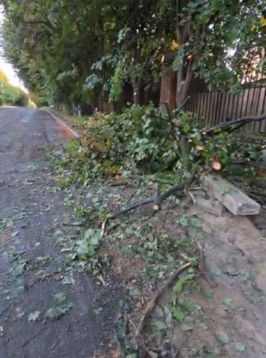 У Петропавлівській Борщагівці на Київщині вирубали дерева та знищили асфальт — місцеві протестують