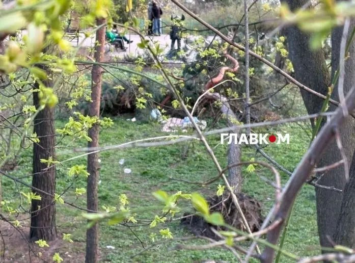 В ботаническом саду Фомина расцвели магнолии, азалии и стало больше мусора - фото