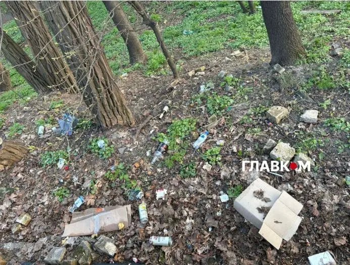 В ботаническом саду Фомина расцвели магнолии, азалии и стало больше мусора - фото